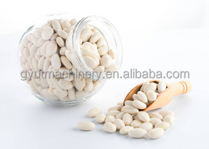 Μηχανή υγρής απολέπισης 85-95% ολόκληρου πυρήνα για τη διάσπαση και τη διάσπαση πυρήνα βερίκοκα