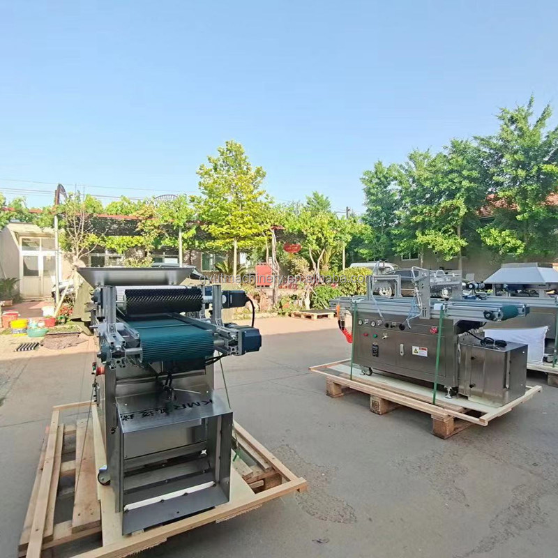 Μηχανή σποράς ντομάτας 120 δίσκος Σπόρος μαρούλι Σπόρος λαχανικών Σπόρος φυτεύτη για πλαστικό δίσκο