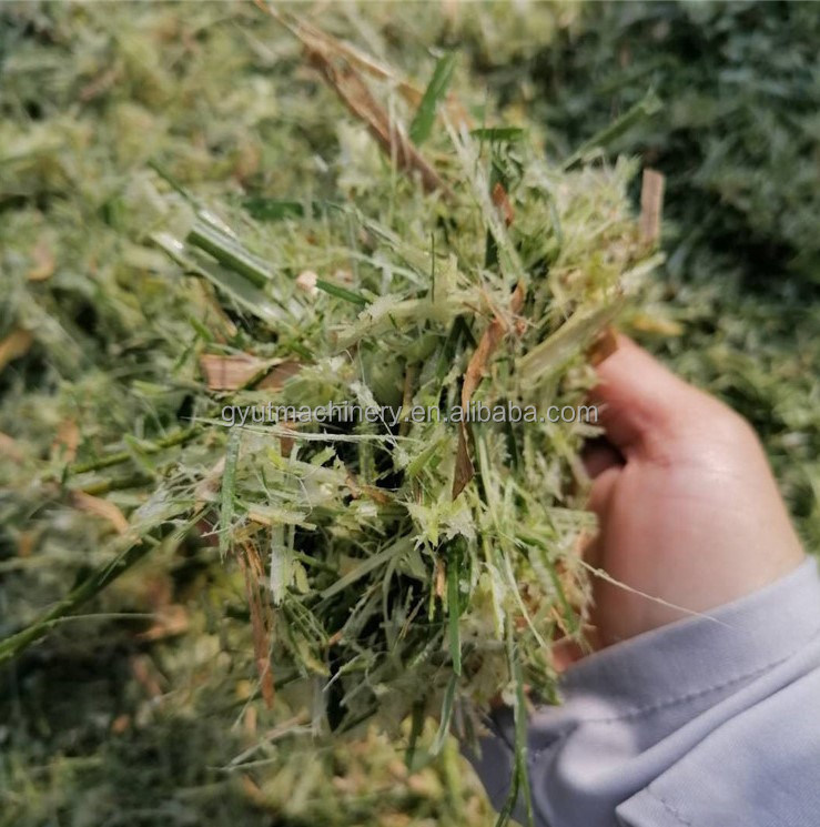 Πρώτης κατηγορίας μίνι κοπτήρας ζωοτροφών κοπτήρας χορτάρι για κτηνοτροφία στο Πακιστάν