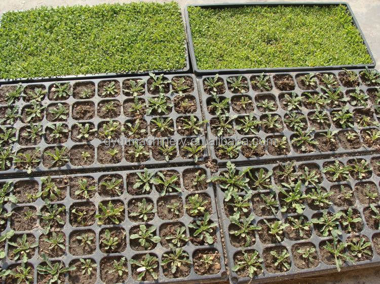 95%-98% ακρίβεια σποράς