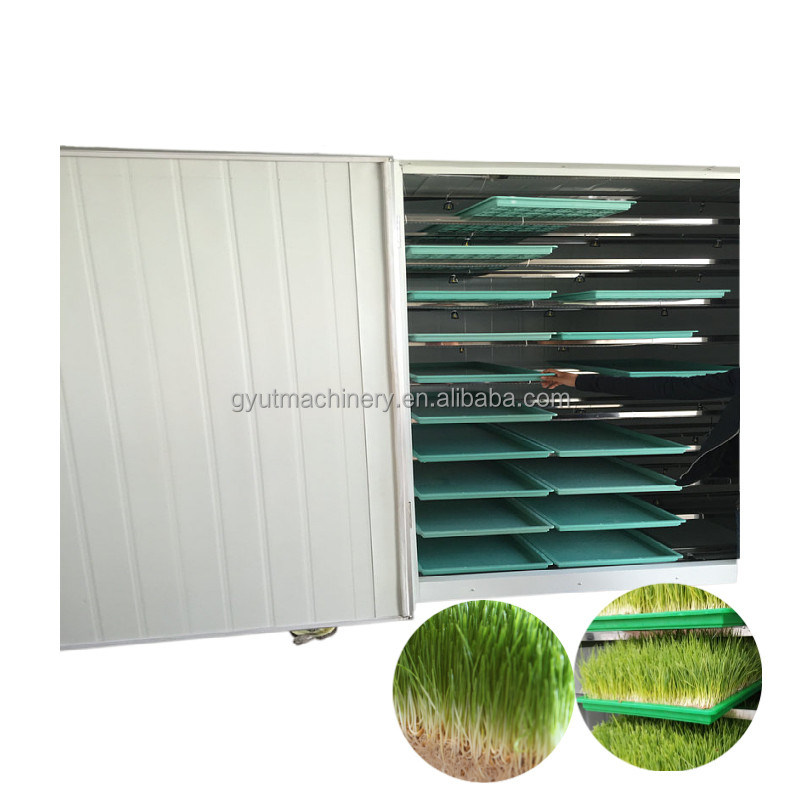 Εξοπλισμός επεξεργασίας ριζών φασόλιων για ημερήσια κατανάλωση νερού 3m3 Παραγωγή βλαστών