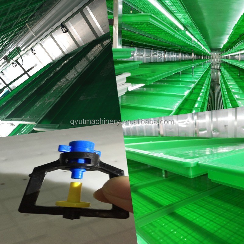 2400w υδροπονική μηχανή για την παραγωγή ζωοτροφών πουλερικών μεγέθους 61*44*27cm